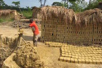 Bricks Projects
